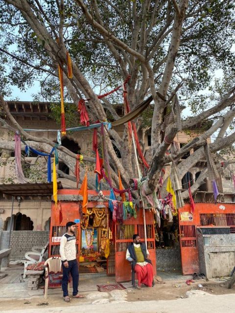 Radha Krishna Tree